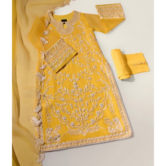 Agha Noor Pure Organza 3 piece Kameez/pant dupatta/stole -Pakistani designer - Picture 1 of 6